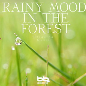 산마루에서 듣는 빗소리