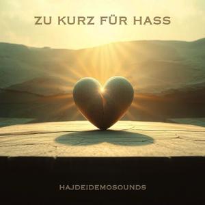 ZU KURZ FÜR HASS