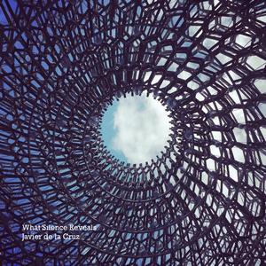 What Silence Reveals