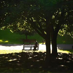 为什么晚上总是有星星