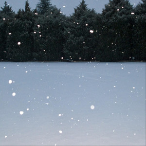 你再不来，我要下雪了