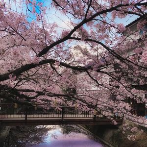 岁月的诗酒 伴奏