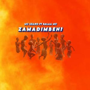 Zamadimbeni (feat. Balaa Mc)