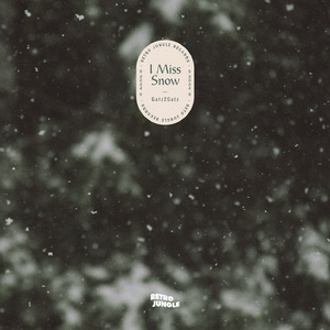 I Miss Snow