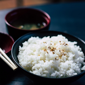 Jakob (Majesta Soundtrack)