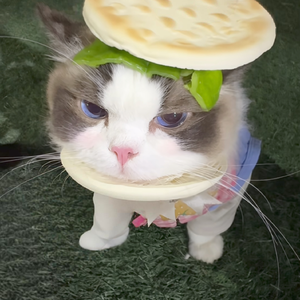 我讨厌坏天气（Cover）