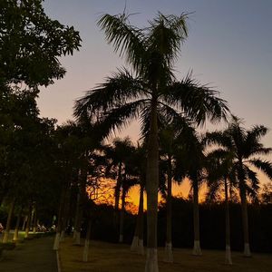 虽然曾经