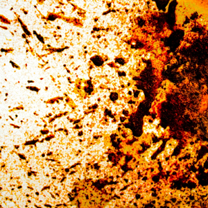 Speaking with Objects