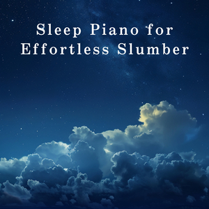 Comfort in Still Moments