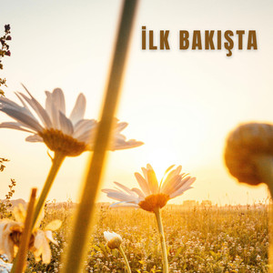 İlk Bakışta