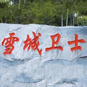 雪城卫士心向党