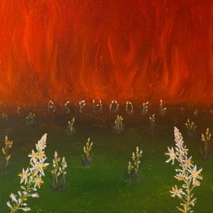 Asphodel