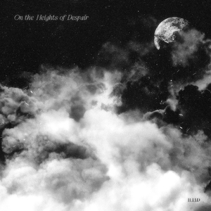 正午时分的森林