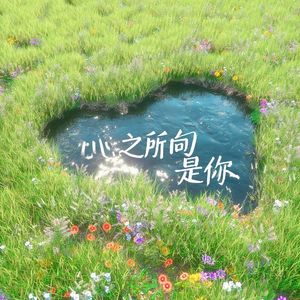 心知所向 是你