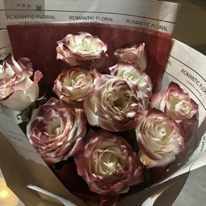 带我去找夜生活（烟酒嗓）