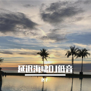延迟海啸DJ低音