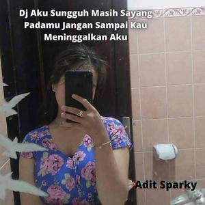 Dj Aku Sungguh Masih Sayang Padamu Jangan Sampai Kau Meninggalkan Aku