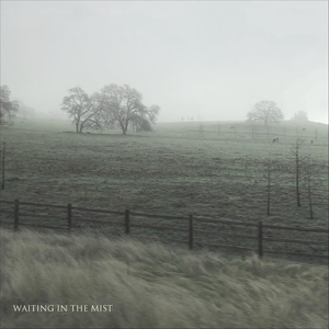 Waiting In The Mist