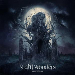 Night Wonders (Instrumental)