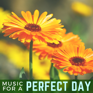 Music for a Perfect Day