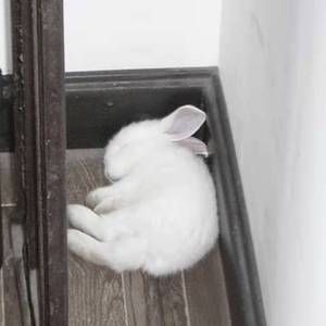 Rnbstylerz-奇拉比（Gon remix）