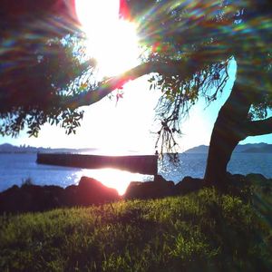 freaky shaurma/aaaahhhhh