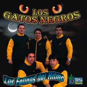 Atrapados (Los Felinos del Ritmo 2007)