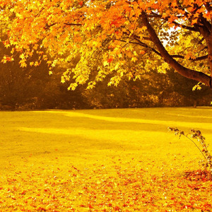 食欲の秋だよ、全員集合