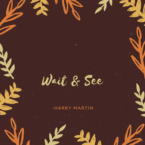 Wait & See