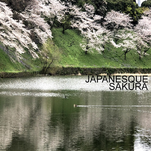 JAPANESQUE "SAKURA"
