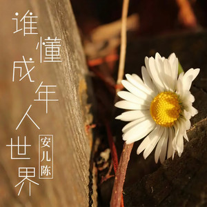 谁懂成年人世界