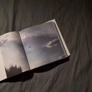 不找了（翻自 郁欢）