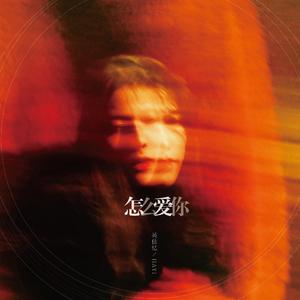 怎么爱你