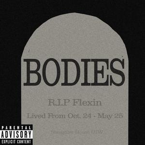 Bodies