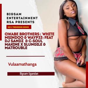 Vulaamathanga (feat. Qwabe Brothers, White Msindoo, Wayp33, Dj Sandz, C-SOUL Makine, Slungile, MaTrouble & Bigsam Ugandan)