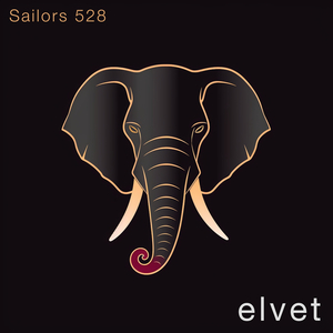 Sailors 528