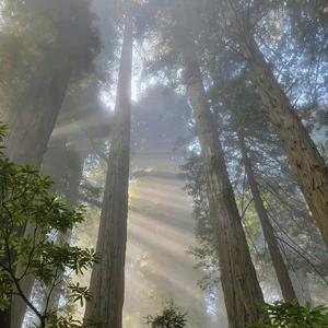 我真的特别爱你.mp3