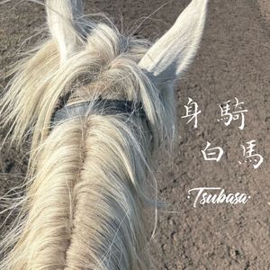 身骑白马(Live)