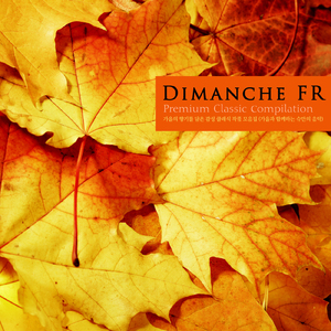 Schumann: Piano Concerto In A minor Op.54 - III. Allegro vivace