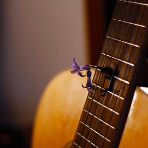 ertejal akher allayl 2