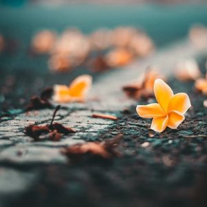 回忆如歌（酒店大厅钢琴曲）