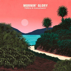 mornin' glory