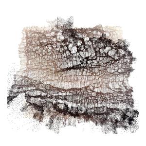 Troubador (feat. Kajsa Kedefors)