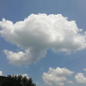 面具后的狼狈 只有月光能体会