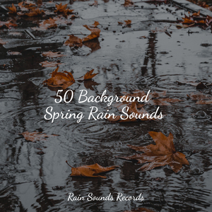 Wild Whirlwind Waltz