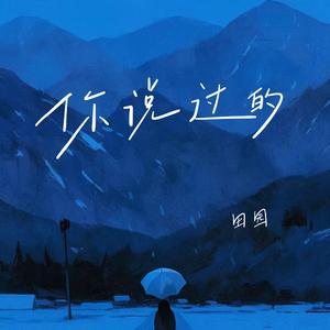 你说过的 (DJ版)