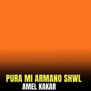 Pura Mi Armano Shwl