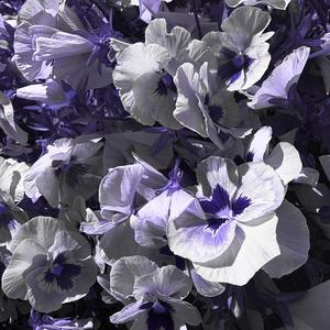 empathy+compassion (feat. WITCHA & Alison Nighter)