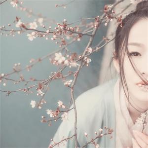 明月本无心（Cover 排骨教主）