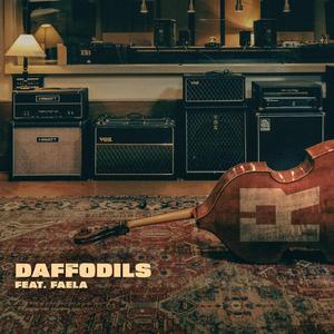 Daffodils